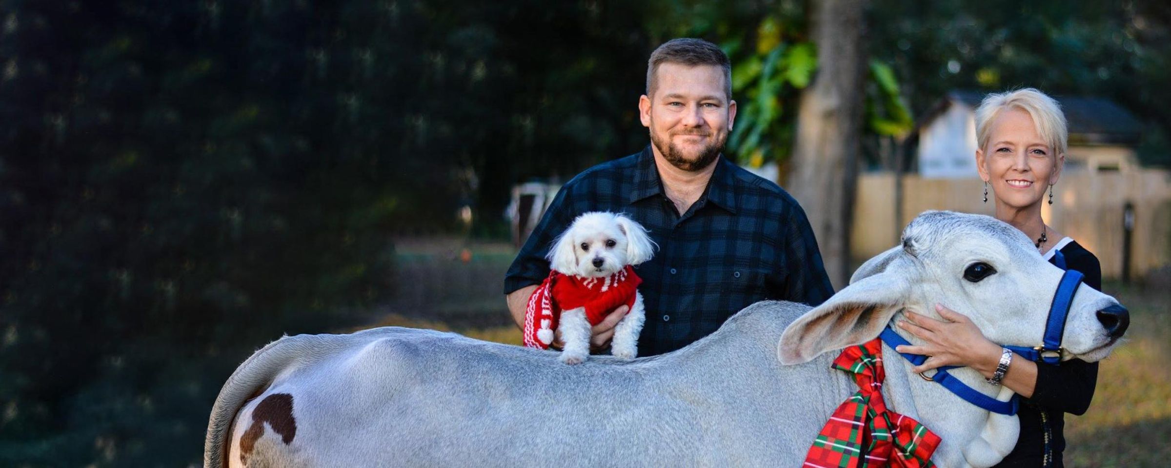 Man and woman smiling, holding a dog and posing with a cow