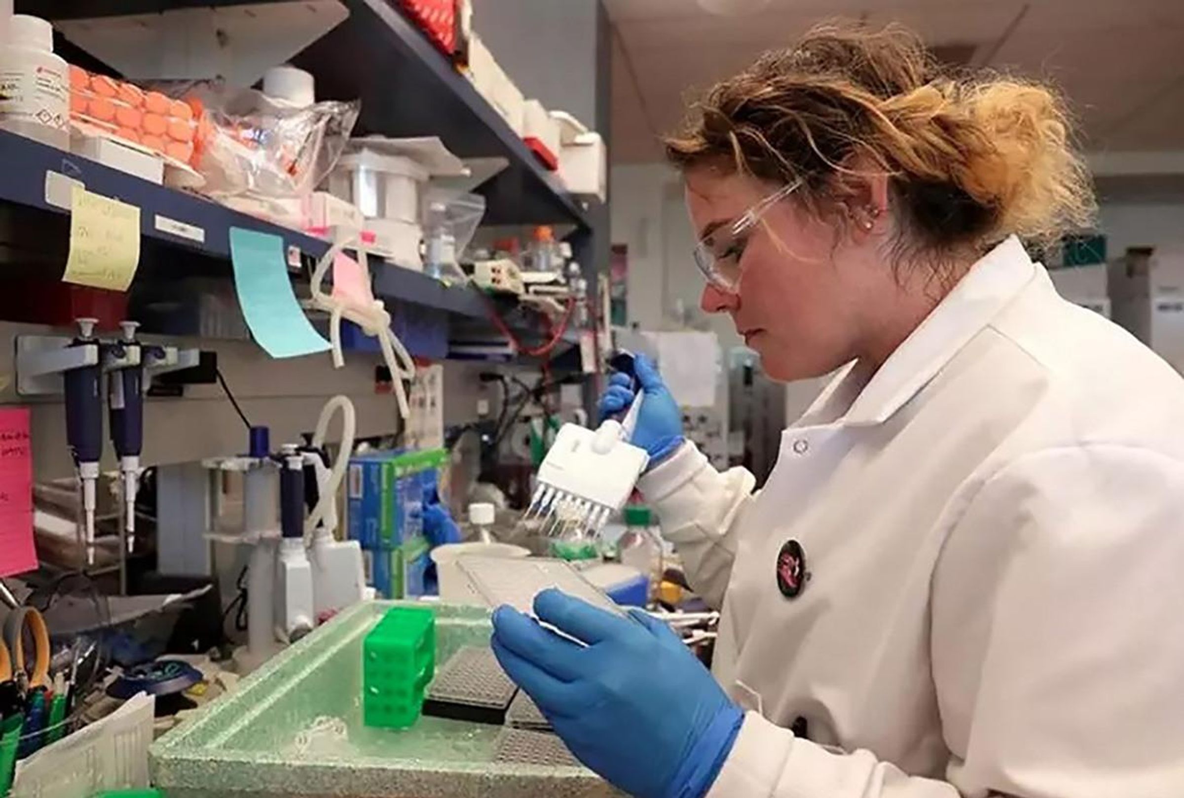 Amy Richards wears a lab coat and works with a pippette.